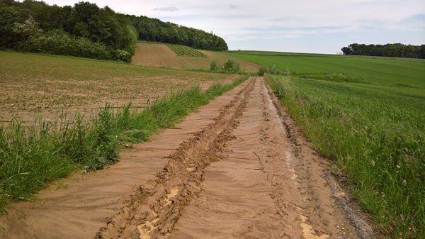 blog-20160606-feldweg