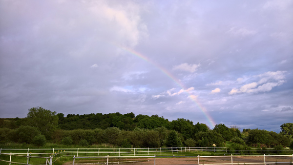 blog-20160714-stallregenbogen