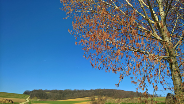 blog-20170327-blauerhimmel