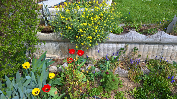 blog-20180415-blumen3