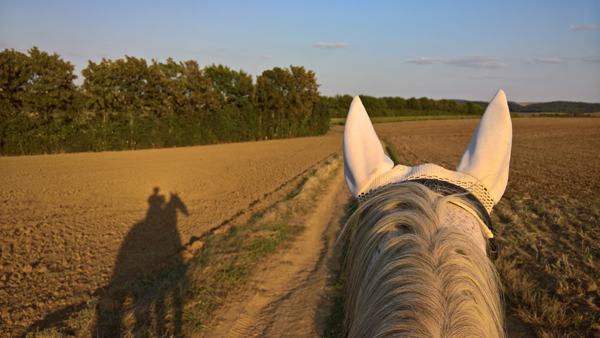 blog-20180816-ausreiten1