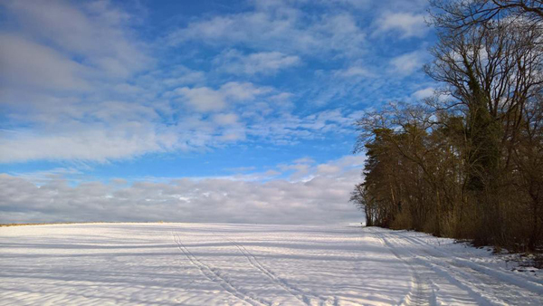 blog-20190113-blauerhimmel