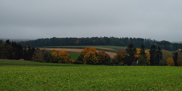 blog-20201027-herbst1