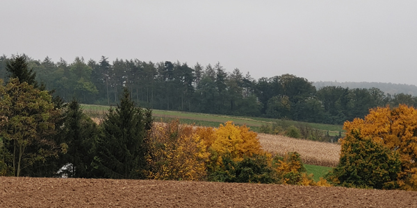 blog-20201027-herbst2