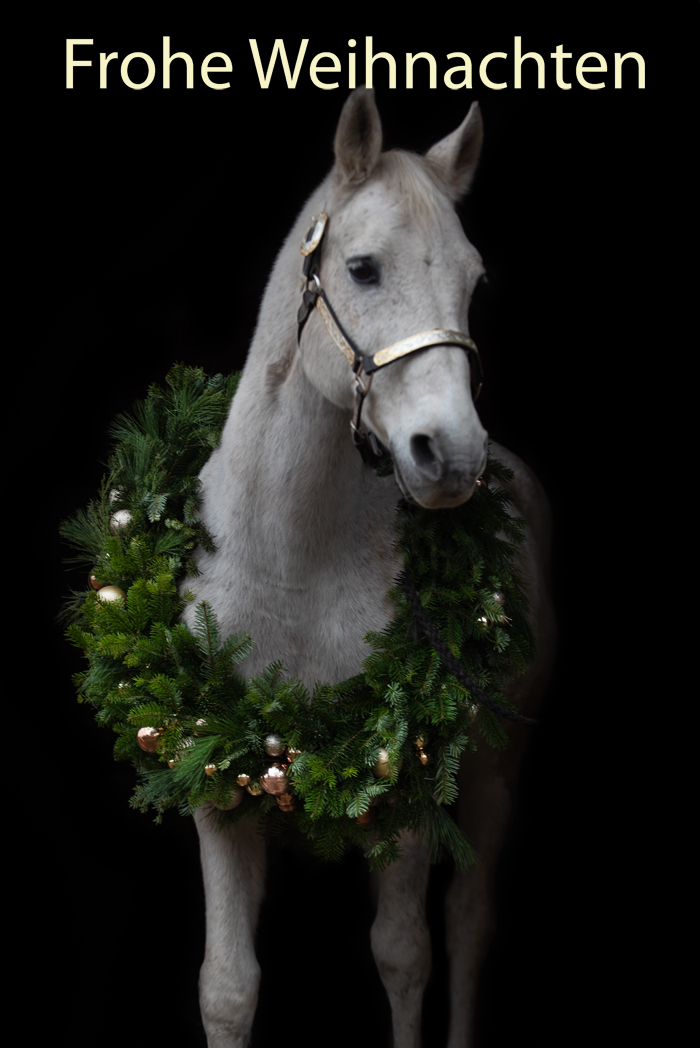 blog-20201224-smoky