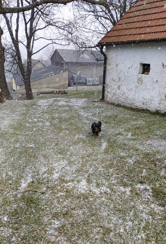 blog-20210319-schnee1