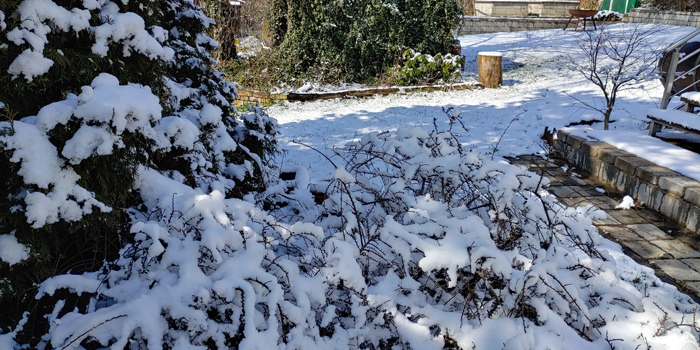 blog-20210320-schnee1