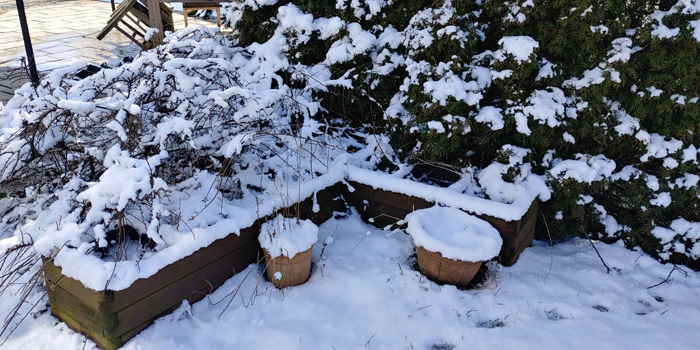 blog-20210320-schnee2