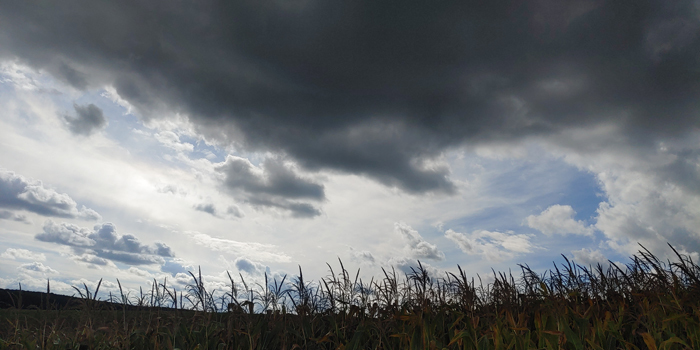 blog-20210930-regenwolken2