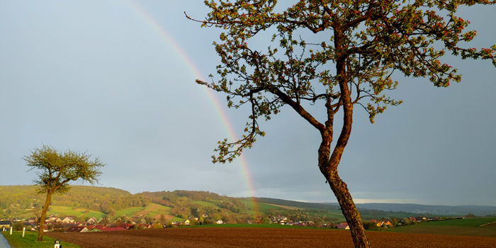 blog-20220424-regenbogen