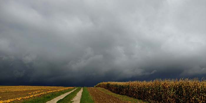 blog-20220919-regenfront1