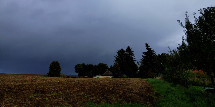 blog-20220919-regenfront4