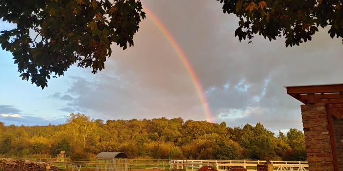 blog-20220921-regenbogen