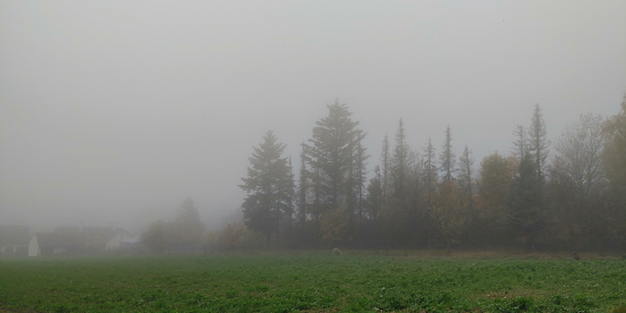 blog-20221028-nebel1