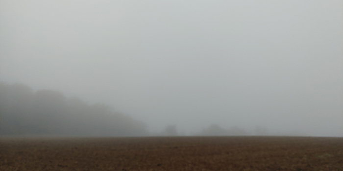 blog-20221028-nebel2