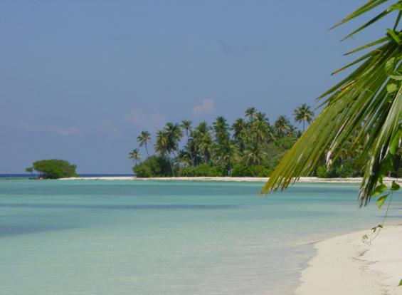 Kuredu